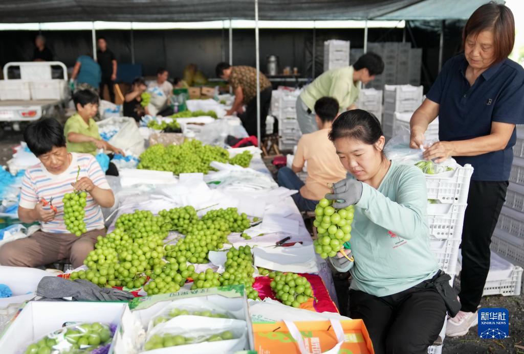 奔驰宝马游戏机下载